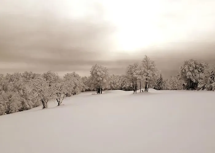 Au Repos Du Faye