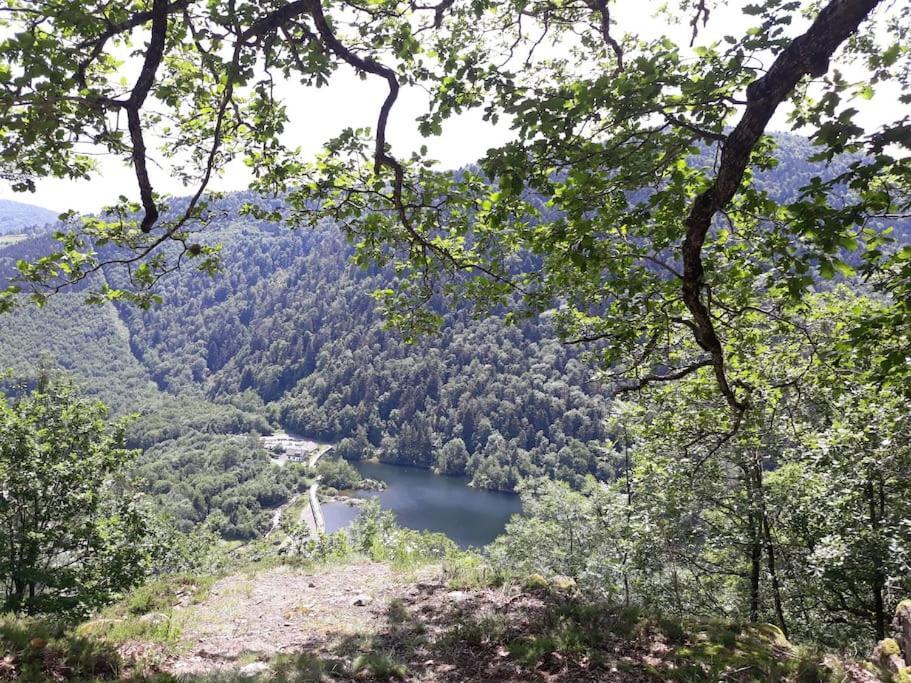 Au Repos Du Faye